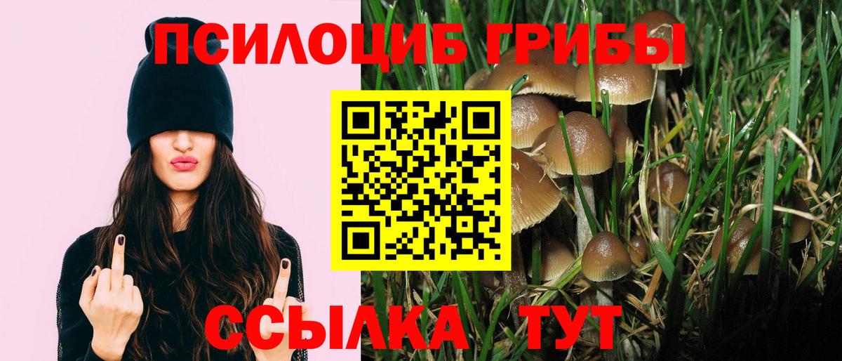 Магазин наркотиков  A-PVP СОЛЬ   Красный Сулин  Меф МЯУ МЯУ кристаллы  Бошки Шишки  Вход с VPN 